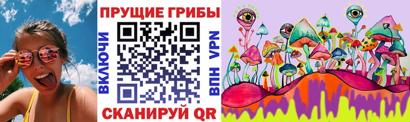 Галлюциногенные грибы GOLDEN TEACHER цена наркотик Никольск